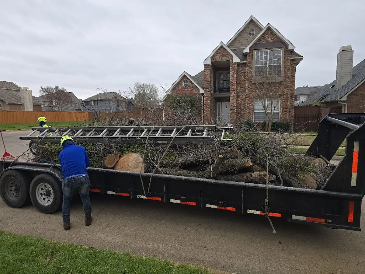 Expert Tree Removal with proper safety equipment in Tranquility